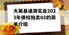 大英县通源实业2023年债权拍卖02的简单介绍