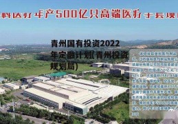 青州国有投资2022年定融计划(青州投资规划局)