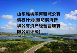 山东潍坊滨海新城公有债权计划(潍坊滨海新城公有资产经营管理有限公司评级)