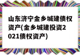 山东济宁金乡城建债权资产(金乡城建投资2021债权资产)