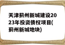 天津蓟州新城建设2023年投资债权项目(蓟州新城地块)