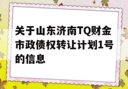 关于山东济南TQ财金市政债权转让计划1号的信息