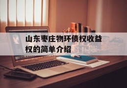 山东枣庄物环债权收益权的简单介绍