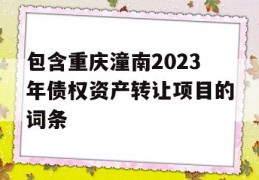 包含重庆潼南2023年债权资产转让项目的词条