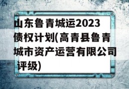 山东鲁青城运2023债权计划(高青县鲁青城市资产运营有限公司 评级)