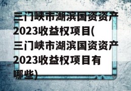 三门峡市湖滨国资资产2023收益权项目(三门峡市湖滨国资资产2023收益权项目有哪些)