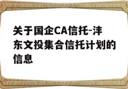 关于国企CA信托-沣东文投集合信托计划的信息