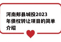 河南郏县城投2023年债权转让项目的简单介绍