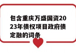 包含重庆万盛国资2023年债权项目政府债定融的词条