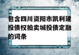 包含四川资阳市凯利建投债权拍卖城投债定融的词条