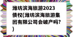 潍坊滨海旅游2023债权(潍坊滨海旅游集团有限公司会破产吗?)