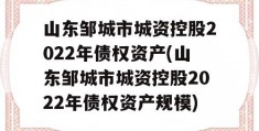 山东邹城市城资控股2022年债权资产(山东邹城市城资控股2022年债权资产规模)