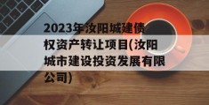 2023年汝阳城建债权资产转让项目(汝阳城市建设投资发展有限公司)