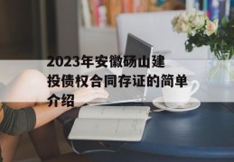 2023年安徽砀山建投债权合同存证的简单介绍