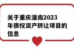 关于重庆潼南2023年债权资产转让项目的信息