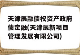 天津辰融债权资产政府债定融(天津辰新项目管理发展有限公司)