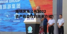 潍坊滨海公有2022资产收益权的简单介绍