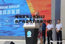 潍坊滨海公有2022资产收益权的简单介绍