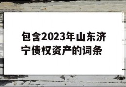 包含2023年山东济宁债权资产的词条