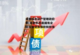 成都成金资产管理政府债(成都市市属国有企业投融资及借款和担保)