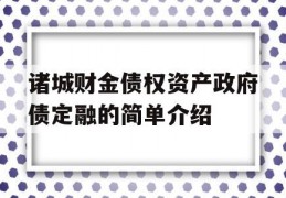 诸城财金债权资产政府债定融的简单介绍