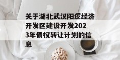 关于湖北武汉阳逻经济开发区建设开发2023年债权转让计划的信息