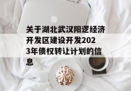 关于湖北武汉阳逻经济开发区建设开发2023年债权转让计划的信息