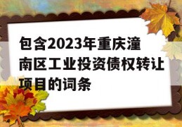 包含2023年重庆潼南区工业投资债权转让项目的词条