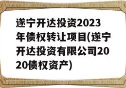 遂宁开达投资2023年债权转让项目(遂宁开达投资有限公司2020债权资产)