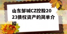 山东邹城CZ控股2023债权资产的简单介绍