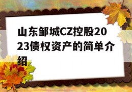 山东邹城CZ控股2023债权资产的简单介绍