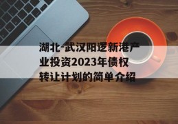 湖北-武汉阳逻新港产业投资2023年债权转让计划的简单介绍