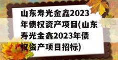 山东寿光金鑫2023年债权资产项目(山东寿光金鑫2023年债权资产项目招标)