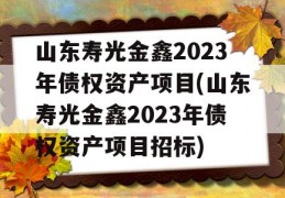 山东寿光金鑫2023年债权资产项目(山东寿光金鑫2023年债权资产项目招标)