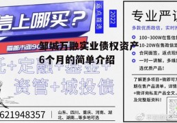 邹城万融实业债权资产6个月的简单介绍