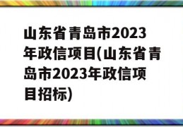 山东省青岛市2023年政信项目(山东省青岛市2023年政信项目招标)