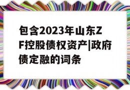 包含2023年山东ZF控股债权资产|政府债定融的词条