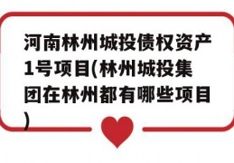 河南林州城投债权资产1号项目(林州城投集团在林州都有哪些项目)