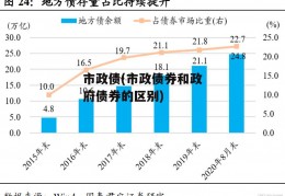 市政债(市政债券和政府债券的区别)