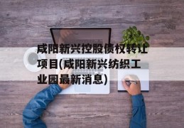 咸阳新兴控股债权转让项目(咸阳新兴纺织工业园最新消息)