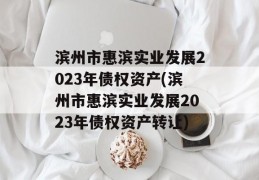 滨州市惠滨实业发展2023年债权资产(滨州市惠滨实业发展2023年债权资产转让)