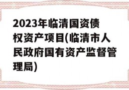 2023年临清国资债权资产项目(临清市人民政府国有资产监督管理局)