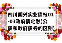 四川国兴实业债权01-03政府债定融(公债和政府债券的区别)