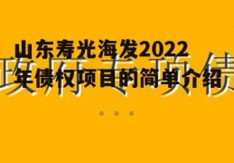 山东寿光海发2022年债权项目的简单介绍