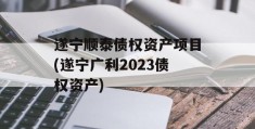 遂宁顺泰债权资产项目(遂宁广利2023债权资产)