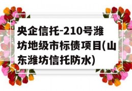 央企信托-210号潍坊地级市标债项目(山东潍坊信托防水)