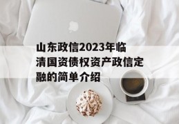 山东政信2023年临清国资债权资产政信定融的简单介绍