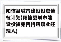 阳信县城市建设投资债权计划(阳信县城市建设投资集团招聘职业经理人)