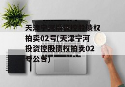 天津宁河投资控股债权拍卖02号(天津宁河投资控股债权拍卖02号公告)