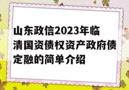 山东政信2023年临清国资债权资产政府债定融的简单介绍